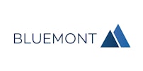 Automobilindustrie Anbieter Bluemont Consulting GmbH