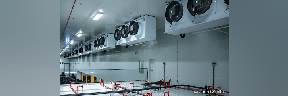 ProductNews Woolworth Südafrika setzt auf HyBlade® Axialventilatoren mit AxiTo