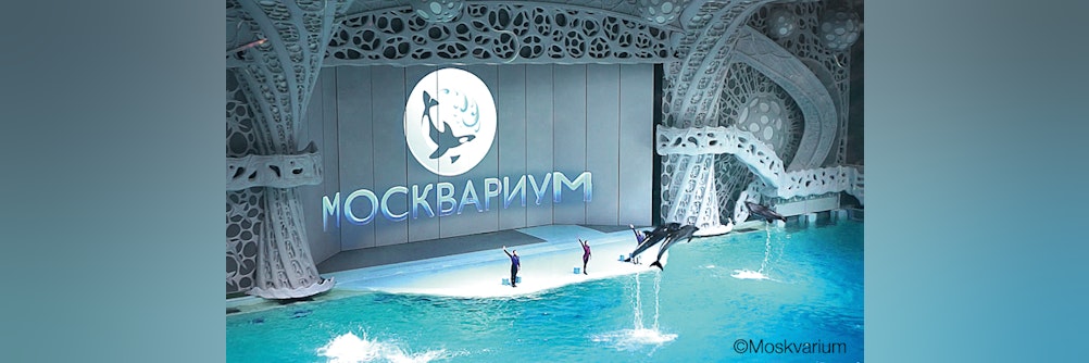 Klimatisierung fürs Delfinarium mit RadiPac - Radialventilatoren