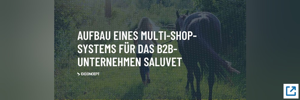 Aufbau eines Multi-Shop-Systems für das Unternehmen SaluVet