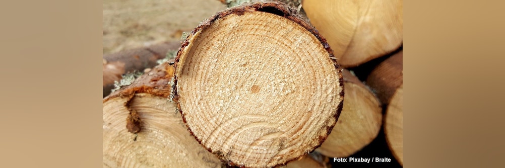 Darum spielen Holzpellets im Explosionsschutz eine Rolle