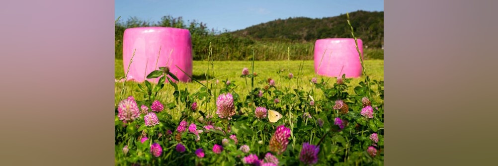 Agrarfolien und Landwirtschaftsfolien zerkleinern und recyceln