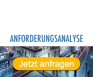 anforderungsanalyse Anbieter Hersteller 