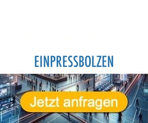 einpressbolzen Anbieter Hersteller 