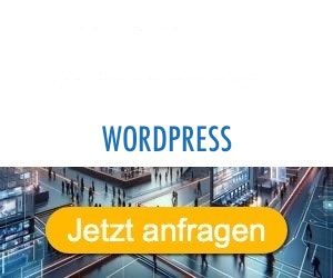 wordpress Anbieter Hersteller 