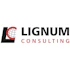 Lignum Consulting GmbH, Industrie-4.0-beratung
