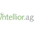 ISMS (Informationssicherheitsmanagement) – intellior AG