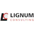 Lignum Consulting GmbH, LEAN-Production