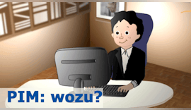 Wozu PIM Software?