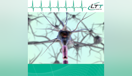 Messungen in der Bio- und Neuromedizin