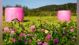 Agrarfolien und Landwirtschaftsfolien zerkleinern und recyceln