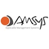 Risikomanagement Hersteller AMSYS GmbH