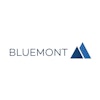 Unternehmensberatung Anbieter Bluemont Consulting GmbH